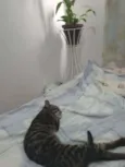 João.