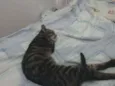 João.