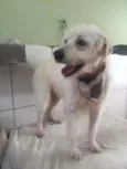 BOB