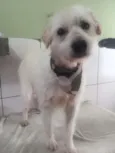 BOB