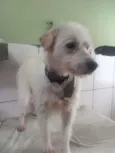 BOB
