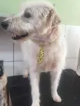 BOB