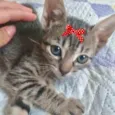 Kika 