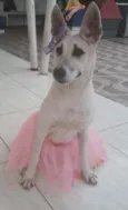 Valentina