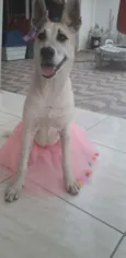 Valentina
