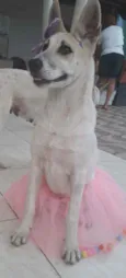 Valentina