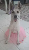 Valentina