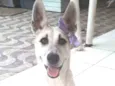 Valentina