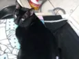 Neguinho