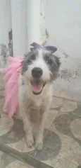 Nala