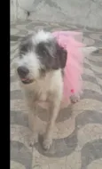 Nala