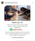 Pretinha
