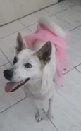 Zoe