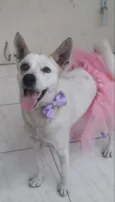 Zoe
