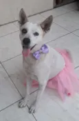 Zoe
