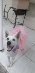 Zoe
