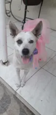Zoe