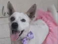 Zoe