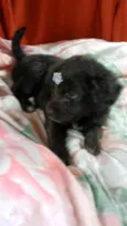 Luna e Zara