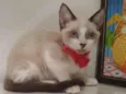 Marie