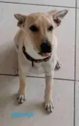 Bob