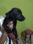 Sem nome