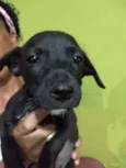 Sem nome