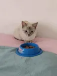 Clara