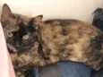 Nina