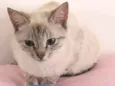Clara