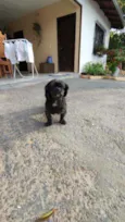 Babu