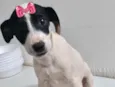 Kiara 