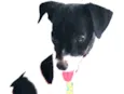 Ralf 