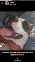 Oliver