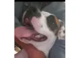 Oliver