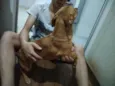Caramelo
