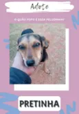 Pretinha