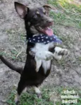 Jack