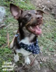 Jack