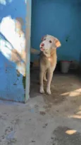Marley