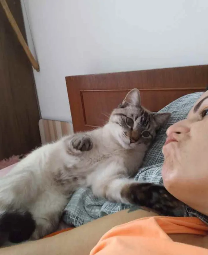 Gato ra a Não tem idade 1 ano nome Não tem