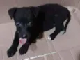 Não tem nome