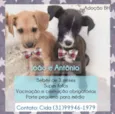 João e Antônio 