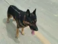 Tufão
