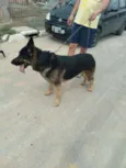 Tufão