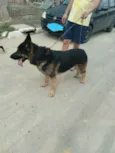Tufão 