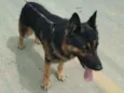 Tufão
