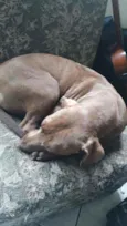 Lua