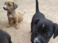 Nao tem 