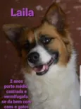 Laila